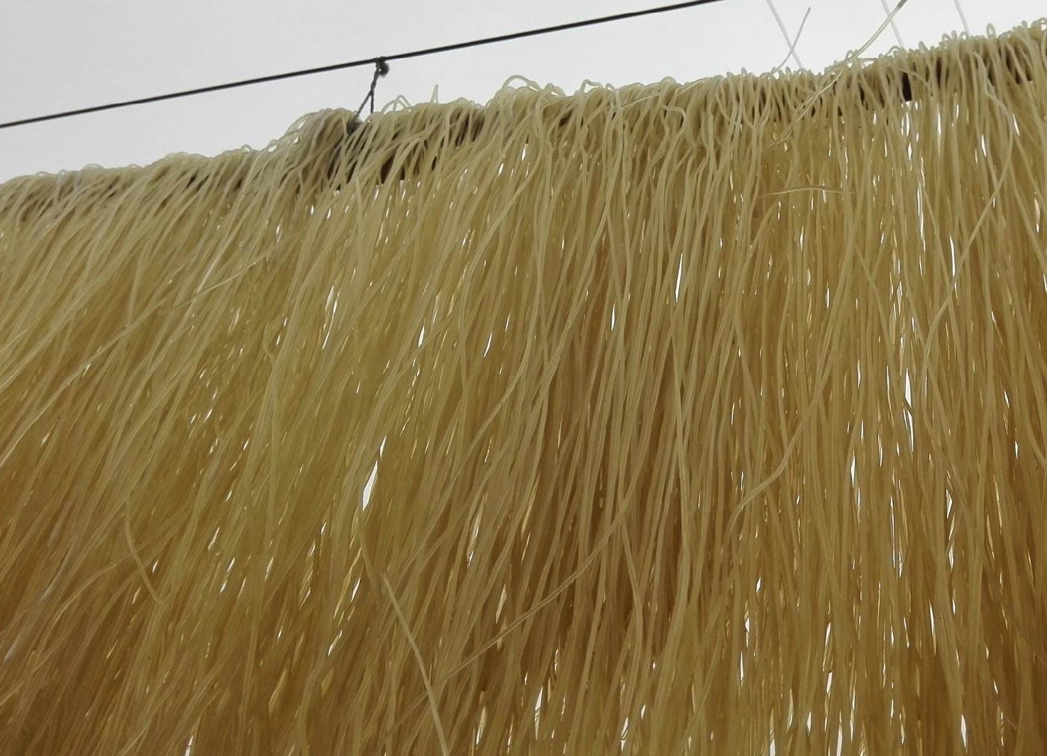 粉条的验证方法,关于粉条的知识