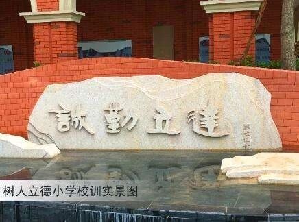 重庆小学学费多少钱一年,重庆小学费用一年多少钱