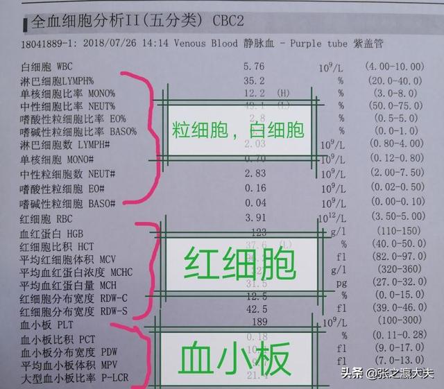 白细胞低，会对人体有哪些影响？医生提醒：这些情况要重视