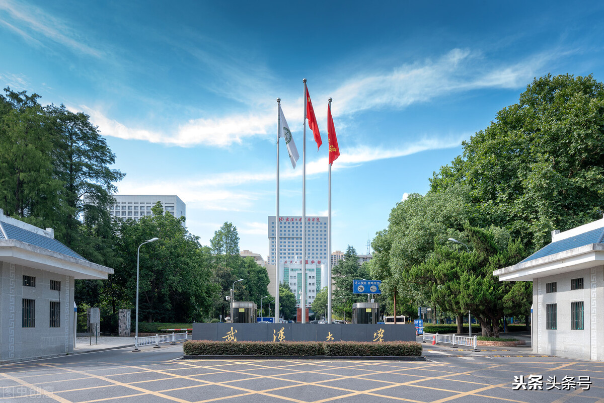 小学生写我的校园,五年级作文我的校园520个字