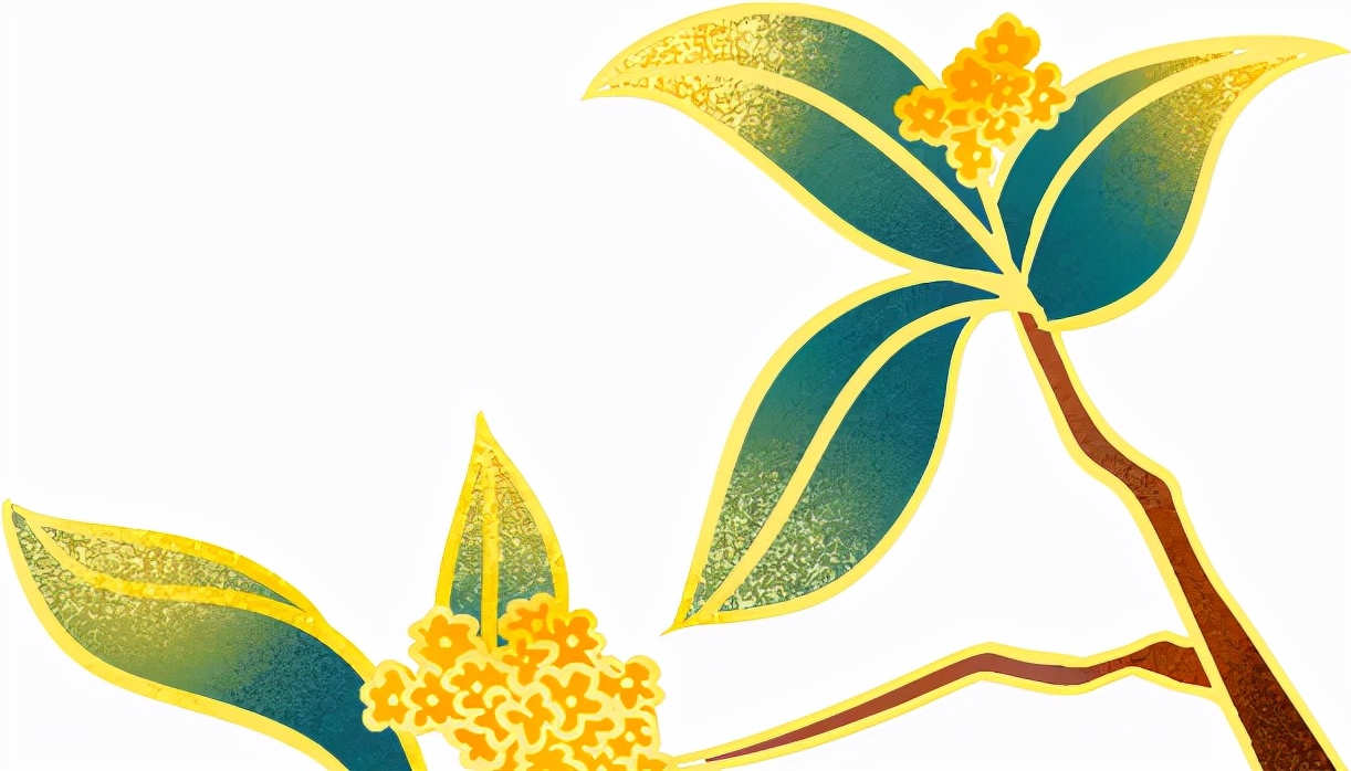 喜报|武山县“村花”直播团倾情添彩丰收节登上新华社等主流媒体客户端，日浏览量突破两百万