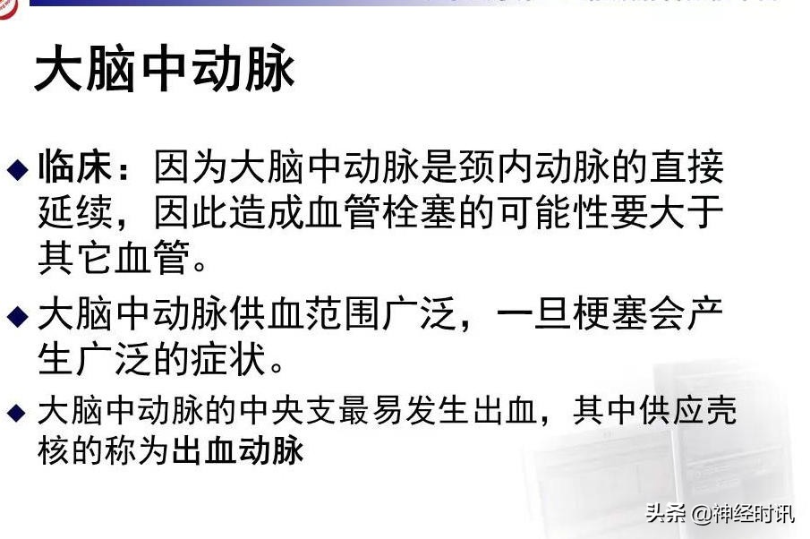 脑动脉解剖学讲解,脑膜中动脉解剖讲解