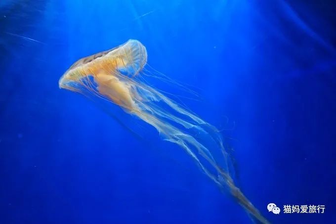 齐河附近带孩子自驾游景点,周边亲子游齐河