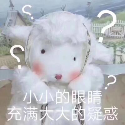 日本欧美韩国哪个护肤品好,日本韩国欧美护肤品怎么选