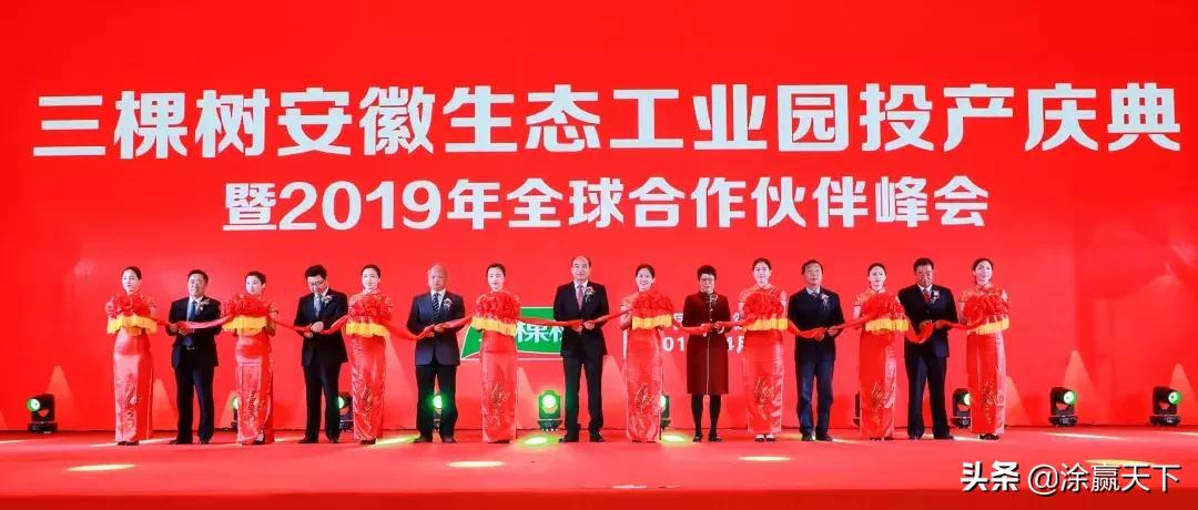 三棵树冠军活动,三棵树得奖艺术漆