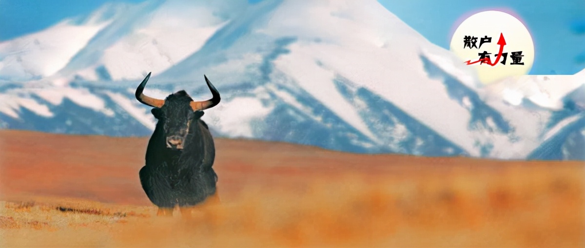 一周下跌20%还会再降吗,跌了七成还会继续跌吗