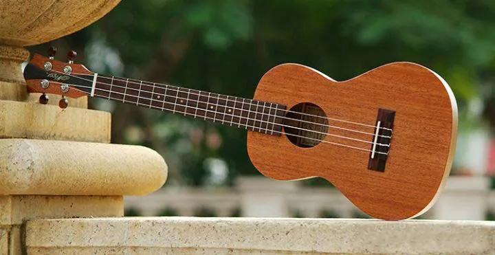 尤克里里的选购和保养,男尤克里里怎么选购