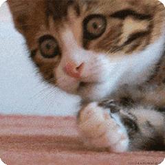 在日本租房子一个月要多少钱,去日本租房子