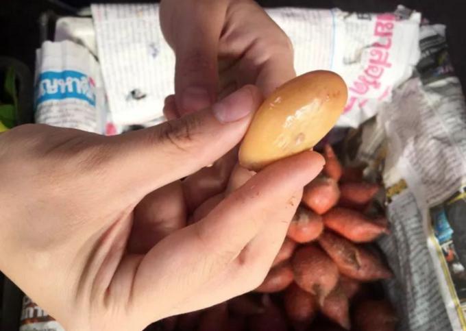 云南西双版纳旅游特色水果,云南西双版纳水果花