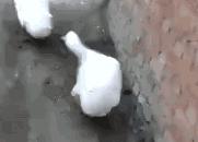 b站的早划算活动在哪里,b站活动抽奖是在截止后发货吗