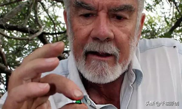 年纪小本领大!堪称#祖母绿#的“劲敌”,到底有啥过人之处?