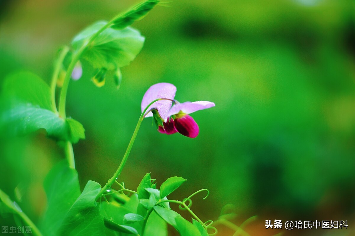 35岁停经原因有哪些,35岁停经症状有哪些