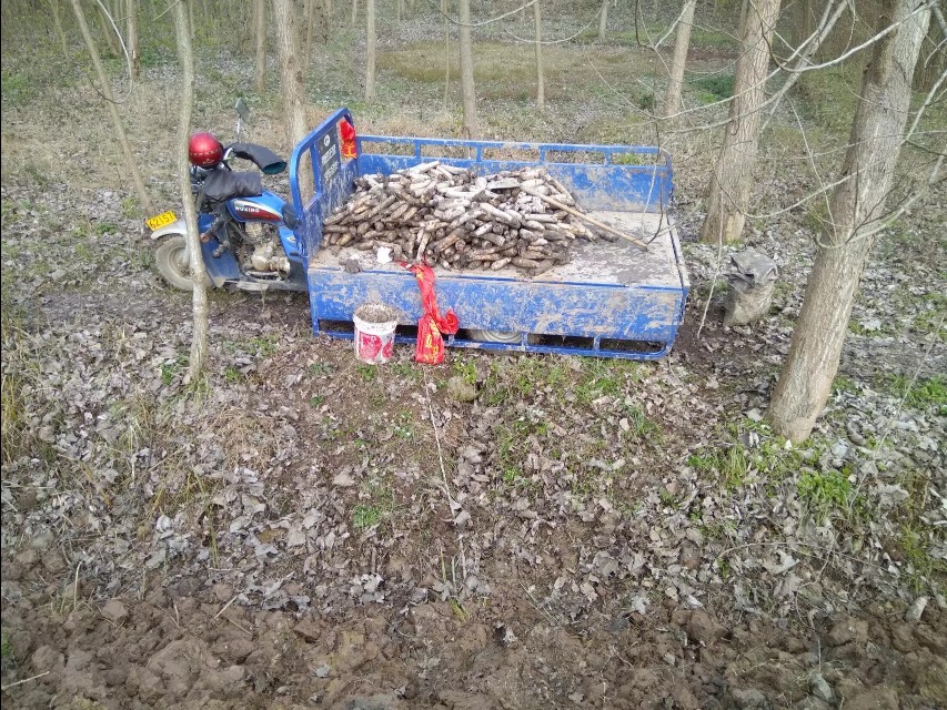 小龙虾如何养殖经济又实惠,小龙虾养殖成本大全