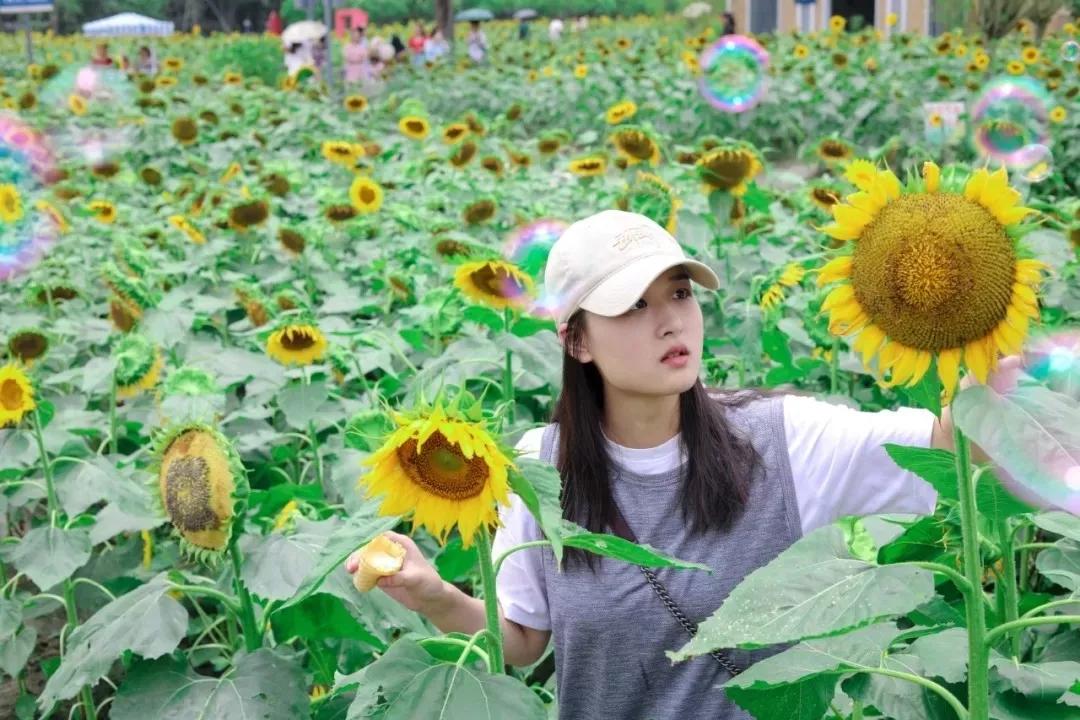 成都最有潜力的花园,成都是个大花园