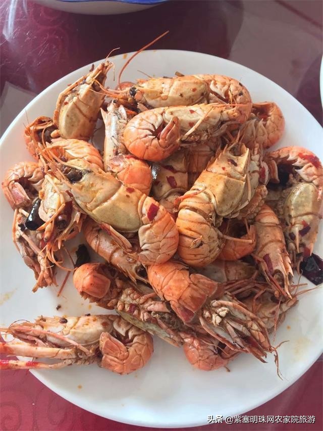 绉︾殗宀涙梾娓稿彲浠ュ嚭娴锋崟楸肩殑鍦版柟 (绉︾殗宀涚墽娴疯繙鑸啘瀹堕櫌)