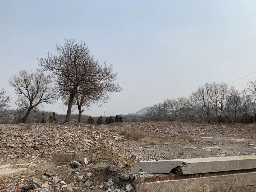 大连石灰石矿几年才能建起来,大连石灰石矿最新官方消息