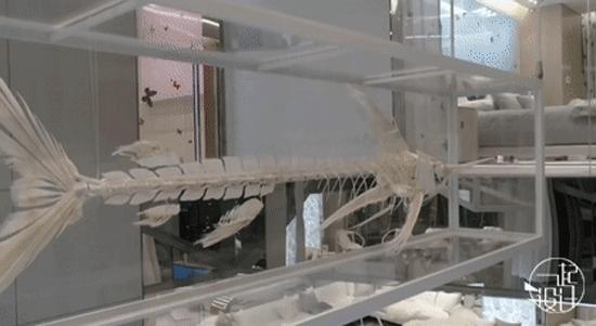 全球最贵十大奢华酒店排名,全球最贵酒店一晚多少钱