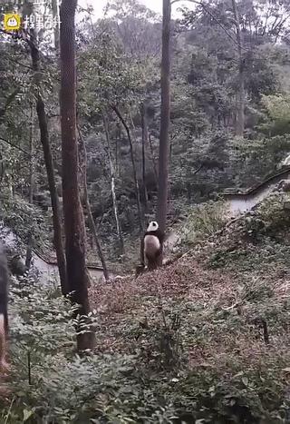 真心话大冒险输了剧情,真心话大冒险认真就输了