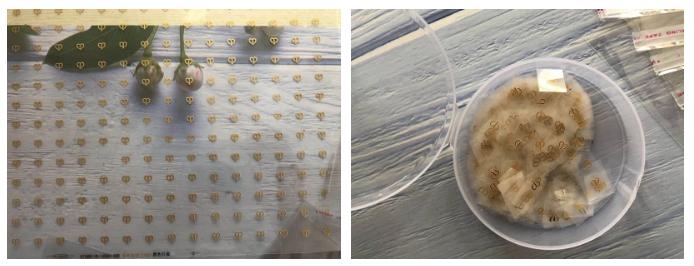 成本1元,售出75万元!这些大牌产品出事了!