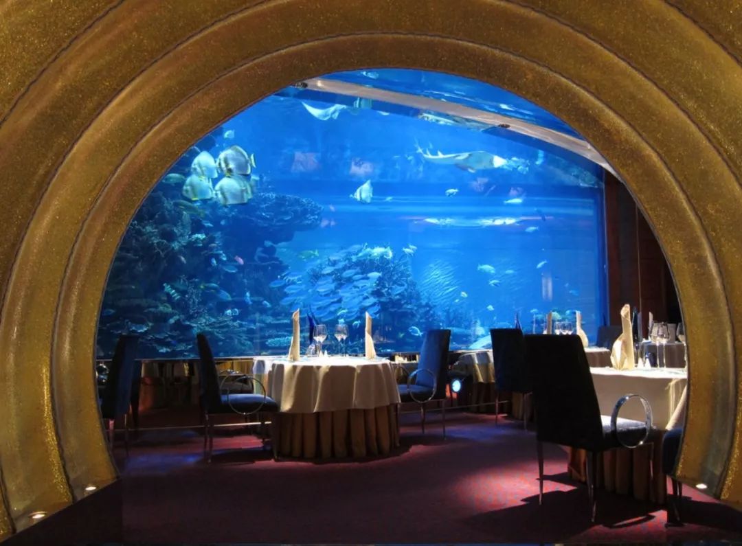 十个小时玩转迪拜,玩转迪拜与阿布扎比