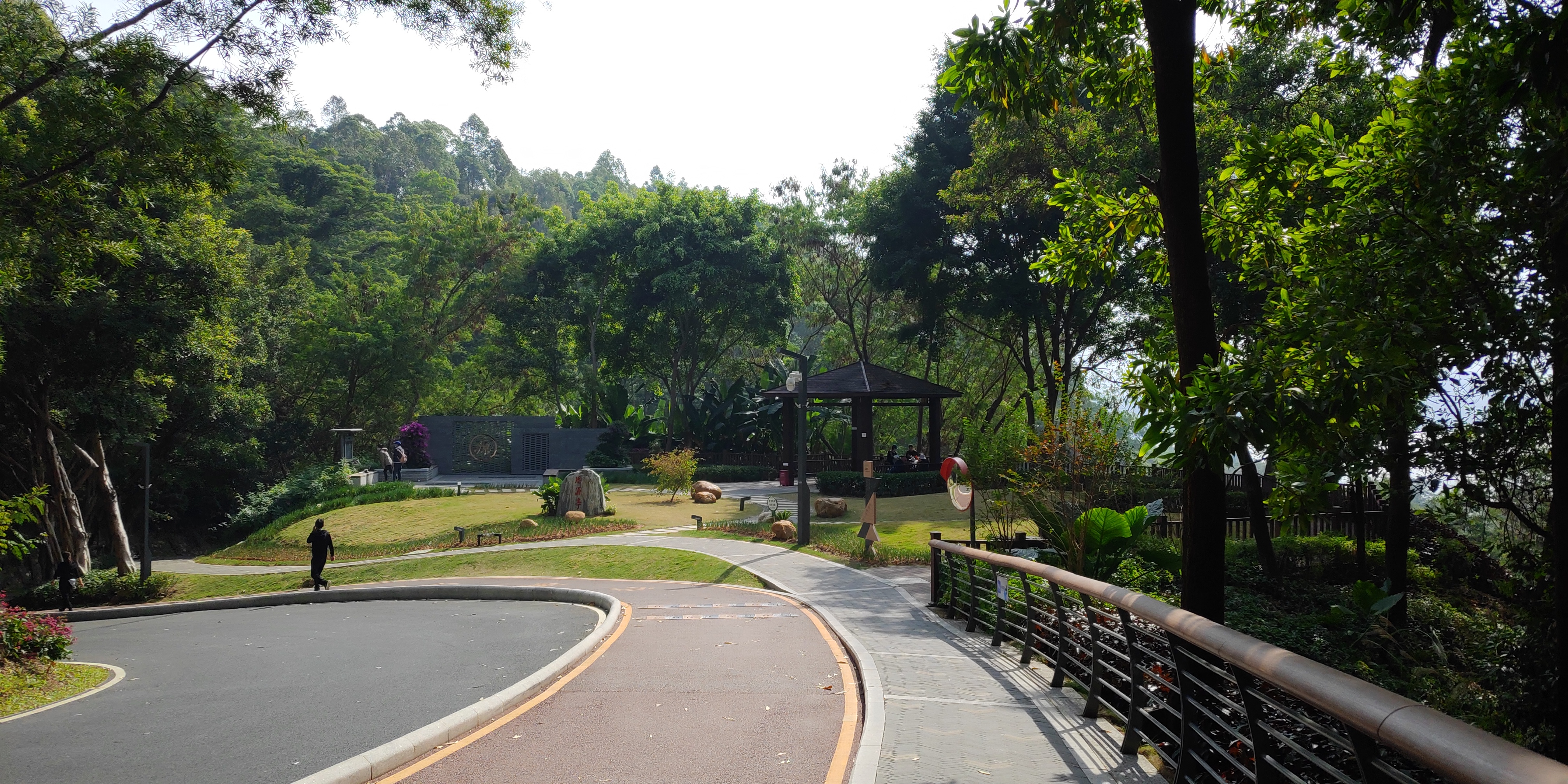 深圳罗湖绿道淘金山绿道攻略,深圳梧桐山绿道徒步攻略