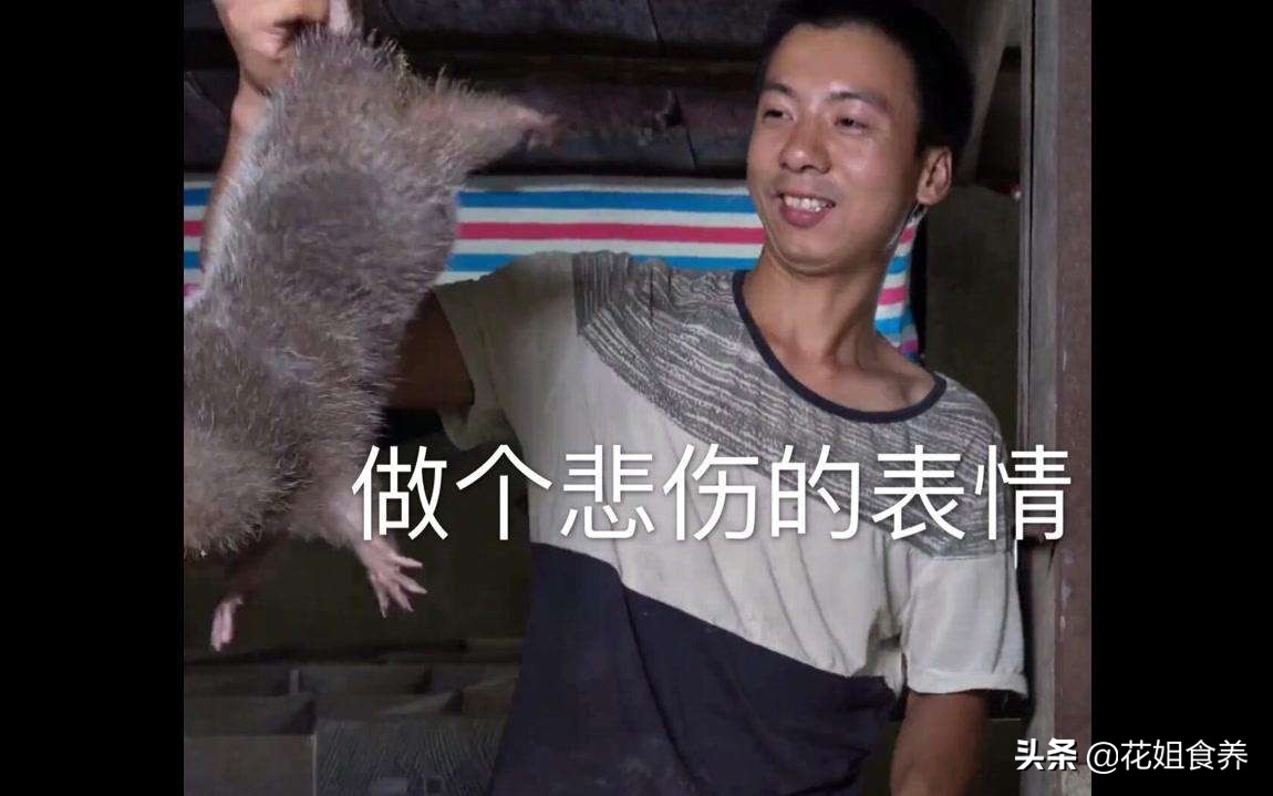 华农兄弟中暑事件,华农兄弟竹鼠中暑拿去河边