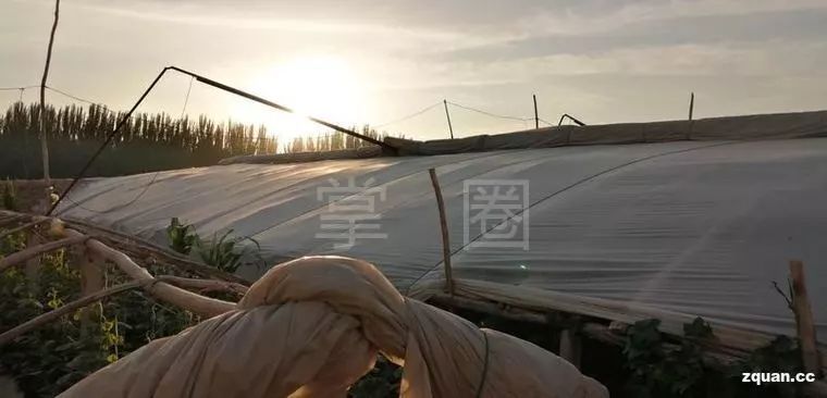 NO.904：阿克苏本地求职招聘、出租转让、农林牧副渔...信息大全