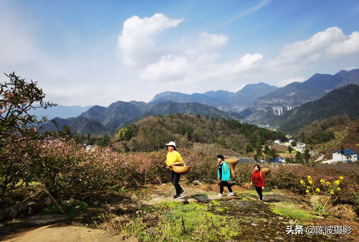 赞美湖北省三峡风景的诗词七绝,旅游三峡诗七绝