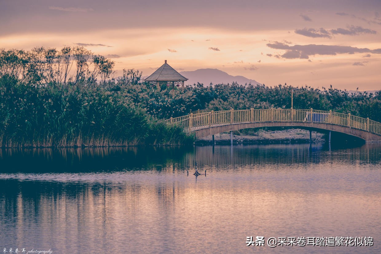 慢游景点,博斯腾湖景点打卡