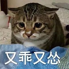 麦富迪代言综艺,向往的生活冠名商