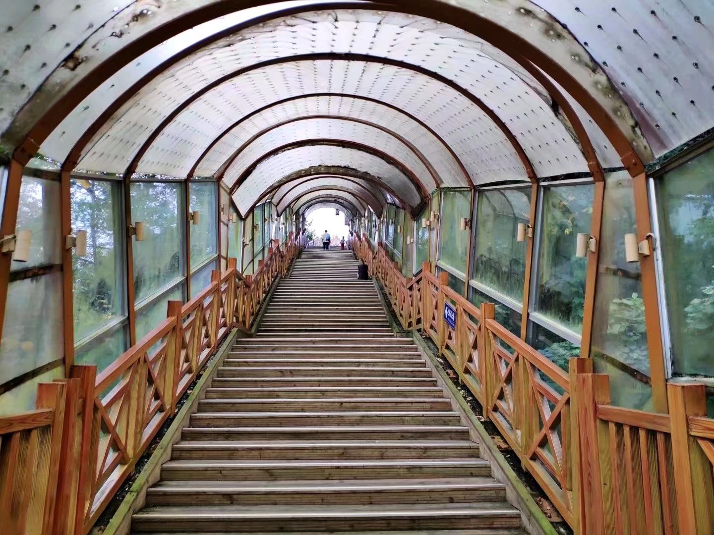 四年青春,四年青春短暂