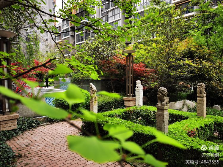 高新枫林华府住房,高新枫林华府小区评测