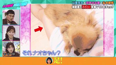 岛国撩汉指南.avi