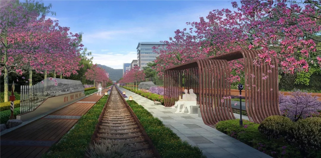 厦门十大打卡旅游景点,厦门思明区打卡景点