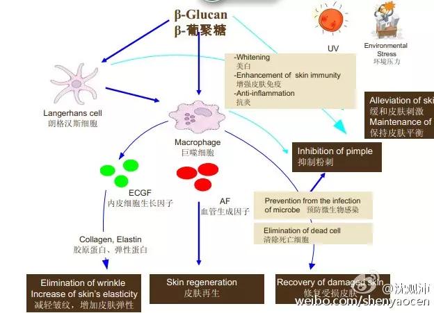 资生堂红腰子适合哪种皮肤,资生堂红腰子精华效果怎么样