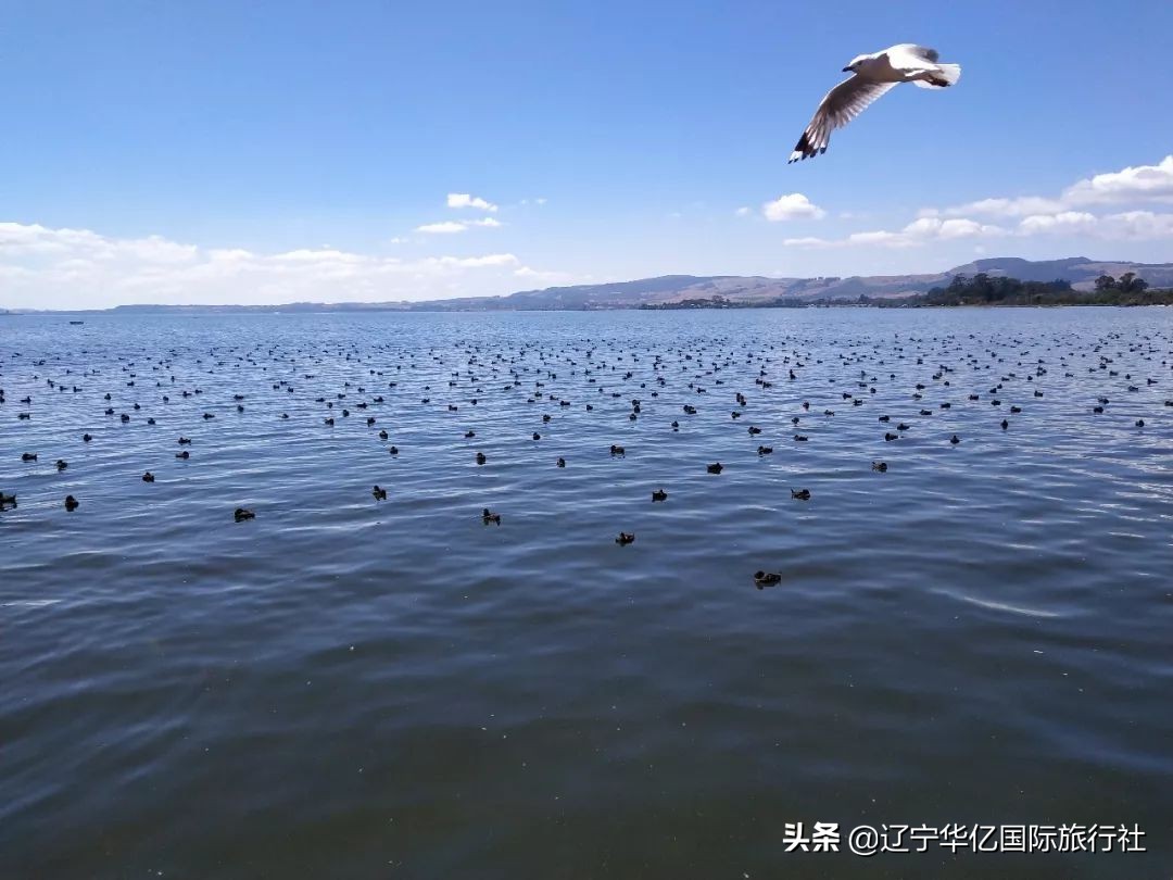 看世界震撼视频,看世界的震撼