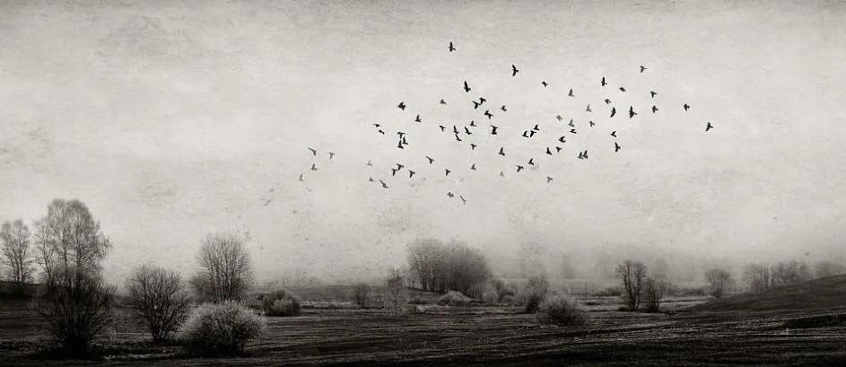 王树人讲吃一堑长一智,王树民演讲视频