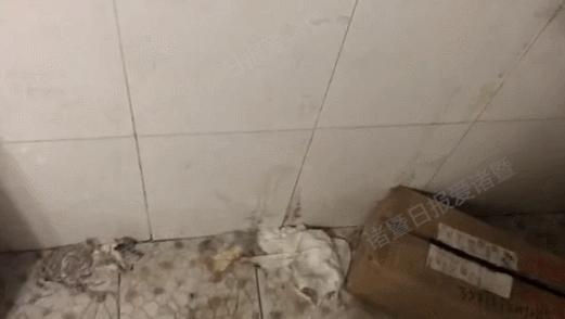 新版赫莲娜真假大全,海外购的赫莲娜在哪里看真假