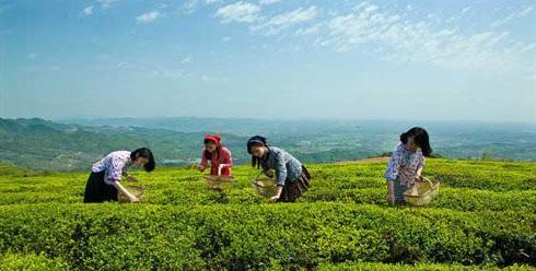 桃花江是美人窝吗,桃花江的传说