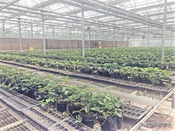 科学技术的最新发展成果,科学技术的发展现状及趋势