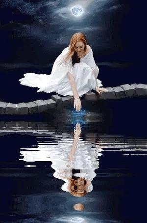 海边水中玫瑰花图片高清大图,最美山水花草倒影图片