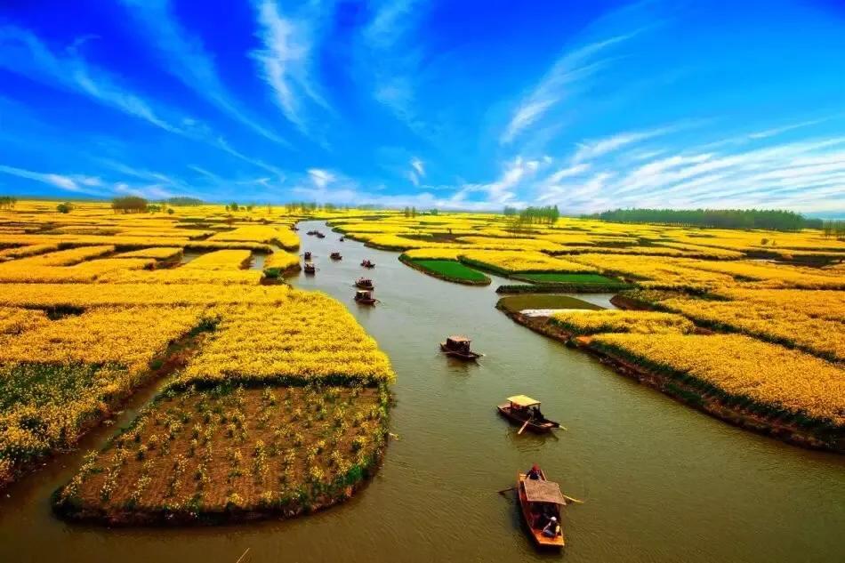 赏油菜花攻略,寻找最美油菜花可去这十大景点