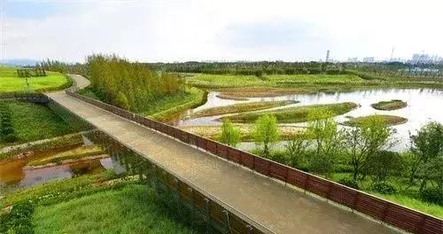 南昌至乐平怪石岭生态公园一日游,南昌附近一日游的景点有哪些