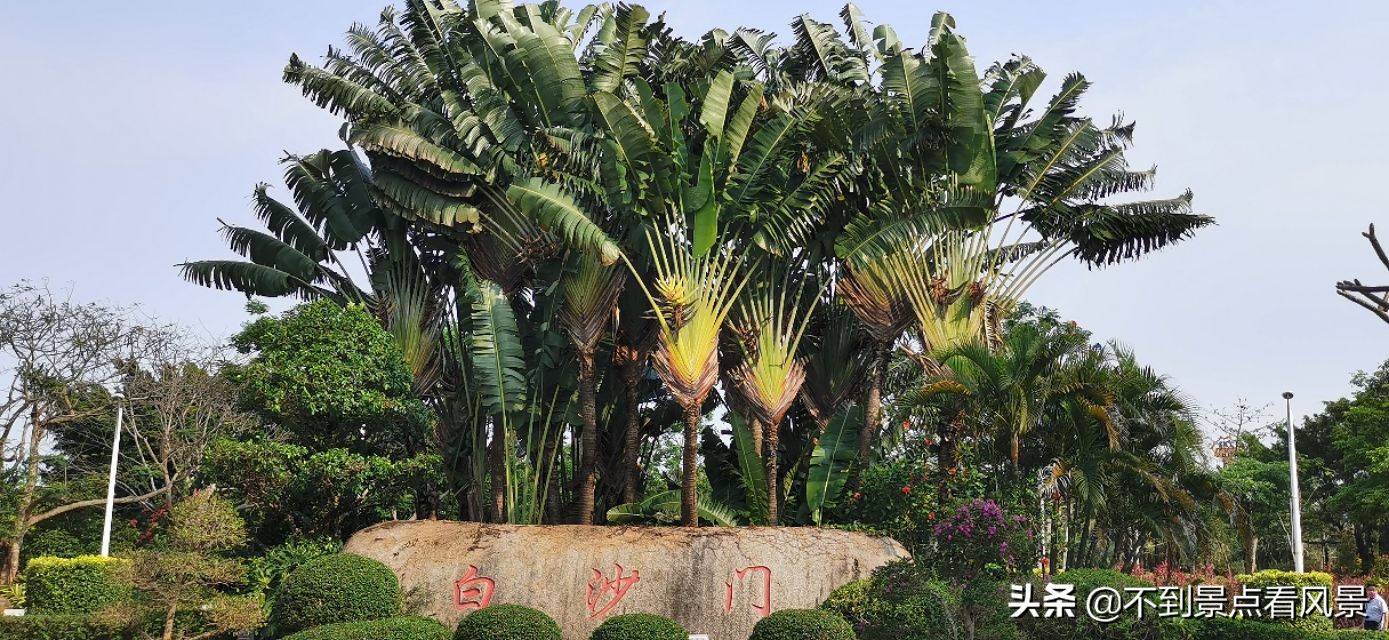 海口海甸岛白沙门公园夜景,海口旅游景点白沙门