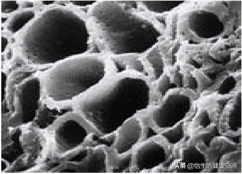 种草是真心安利吗,jacobi活性炭