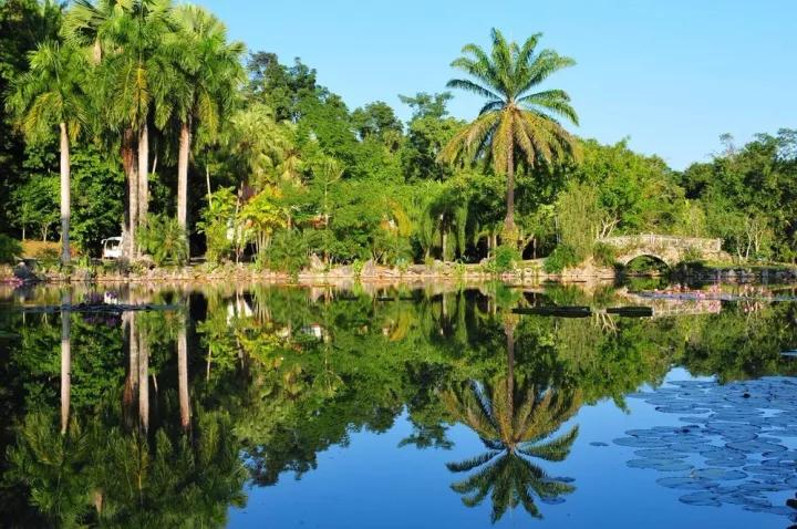西双版纳最著名的旅游景点,西双版纳旅游景点排行榜第几
