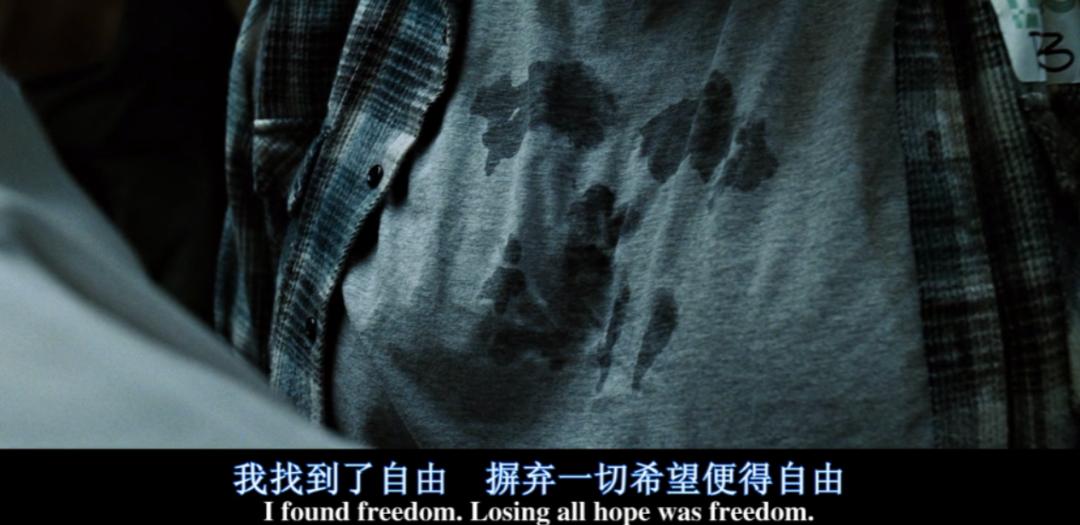 上映时票房惨淡,上映票房惨败如今却成经典