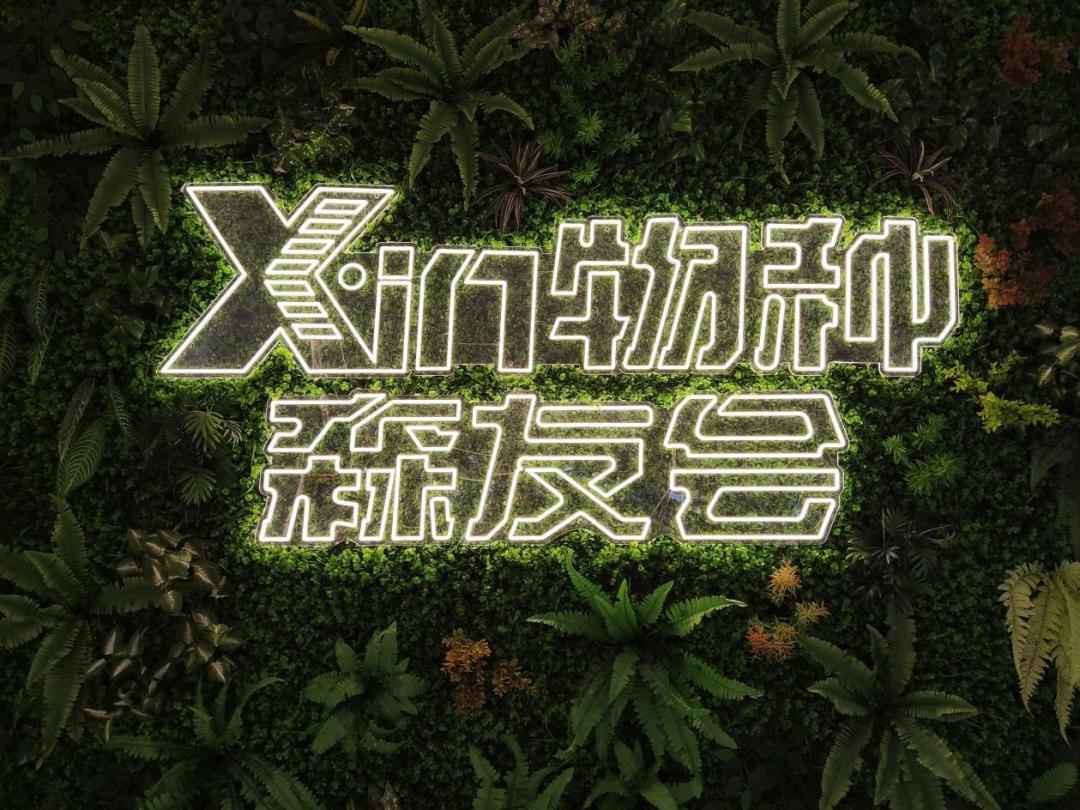 实探北京北投爱琴海：找到年轻人爱逛它的原因了