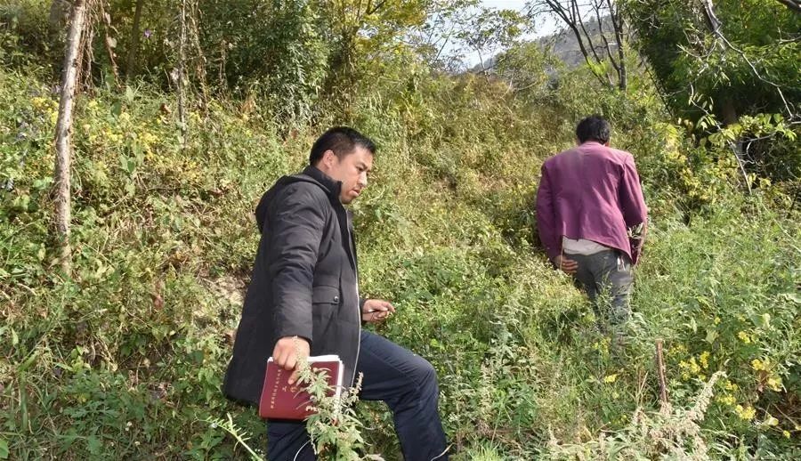 干部下沉,干部下沉一线