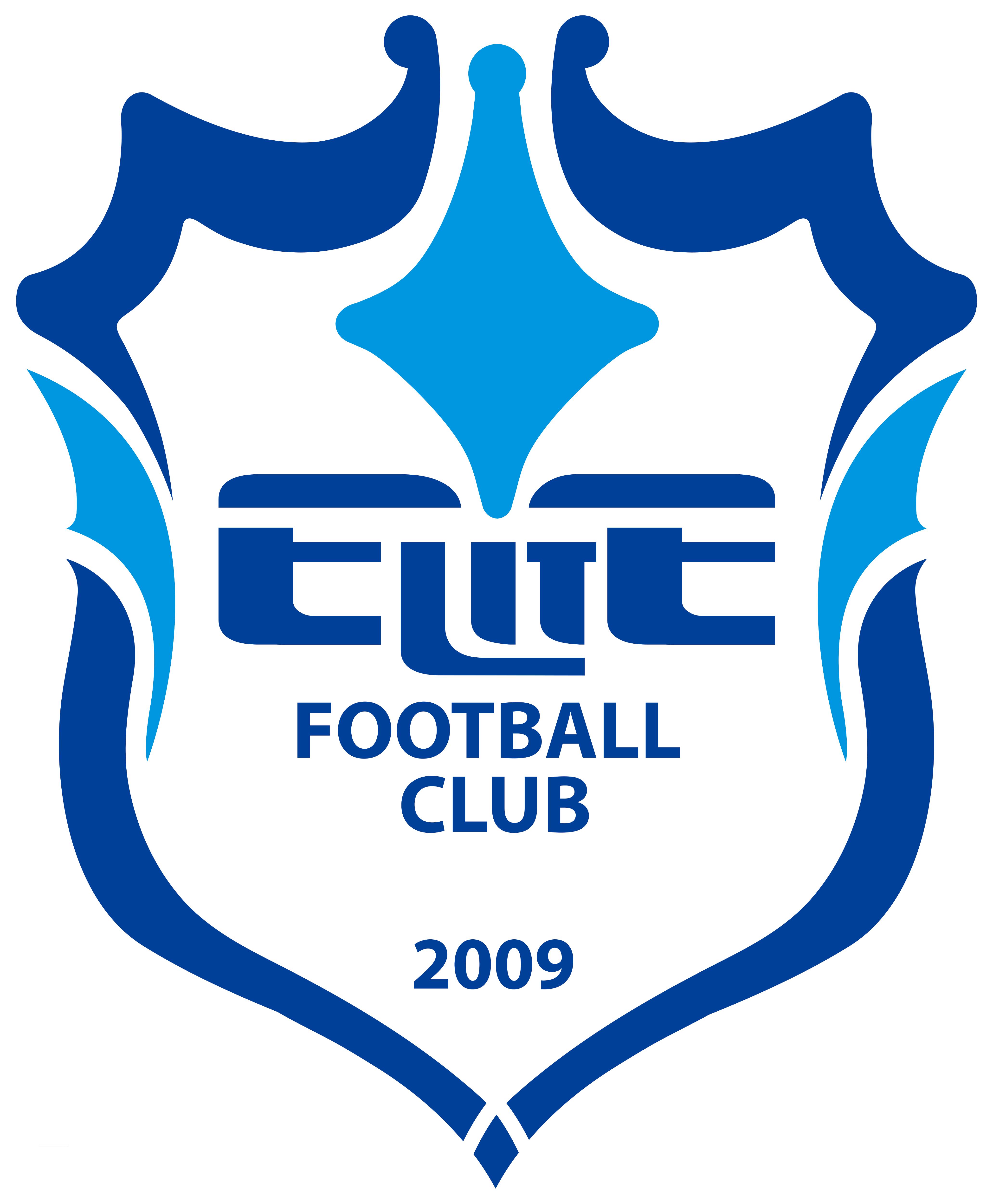 中国足球队历届队徽,中国足球队历年队徽变化